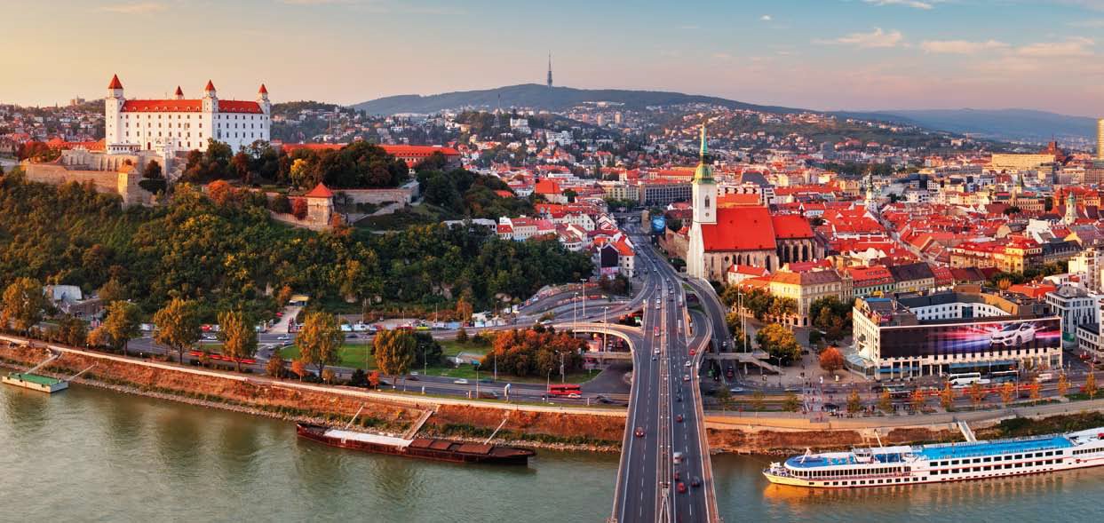 Euro, Slovensko, v&yacute;ročie, hospod&aacute;rsky rast