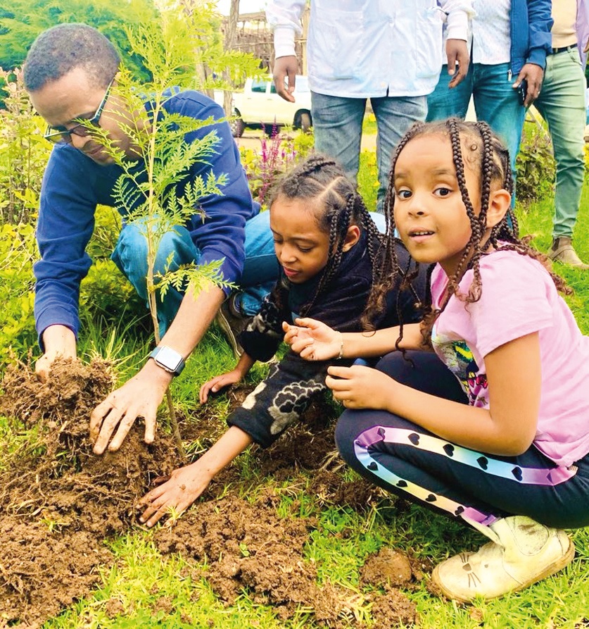 Eti&oacute;pia, stromy