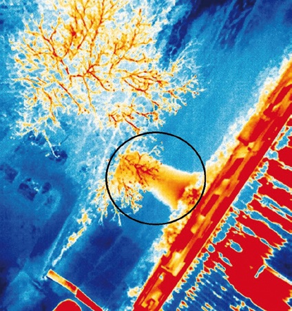 Aero Monitor, sn&iacute;mkovanie, lietanie, drony, panor&aacute;my, Slovensko