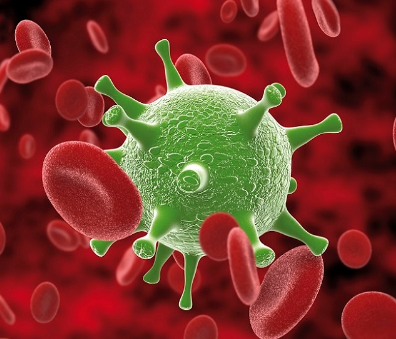 v&iacute;rus, fotka, OMI