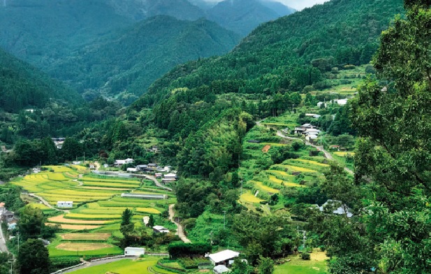 Zero Waste mest&aacute;, ktor&eacute; neprodukuj&uacute; odpad